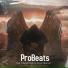 Probeats feat. Rəşad Dağlı, Vüqar Biləcəri