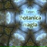 Botanica magia