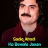 Sadiq Afredi