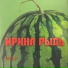 ZOOBE и Ирина Рысь