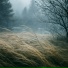 Velune, Звуки спокойствия