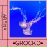 Grocko