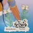 Mohammadreza Azizi, Pourya Abedini