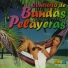 La Banda Central de San Pelayo
