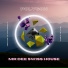 Mr Dee Swiss House
