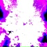 kutta