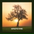 Morninglightmusic