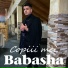 Babasha