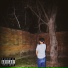Ronnie Junior feat. J Andrés
