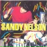 Sandy Nelson