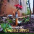 Rashad RC