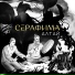 СЕРАФИМА