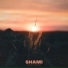 SHAMI