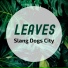 Slang Dogs City