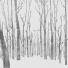 Voices From The Lake