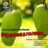 Adithya
