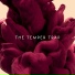 The Temper Trap
