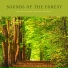 Nature Sounds: Forest