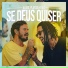 Julies, Planta E Raiz