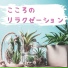 心リラックス深呼吸