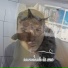 Titi l'amour des animaux