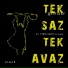 Tek Saz Tek Avaz, Derya Erzincanlı, Tarık Kavut