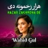 Wahid Gul