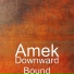 Amek