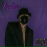 Timlar