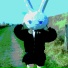 QLY