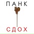 ПАНК