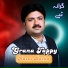 Raees Bacha