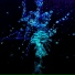 Linhold