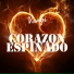 Vangi
