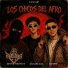 Brayan Machado, Richard Díaz, Disoft