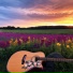 Covers Unplugged