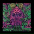 Doom Snake Cult