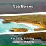 Sea Waves Sounds, Ocean Sounds, Nature Sounds