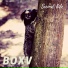 BOXV