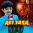 Sibtain Hadir Ali