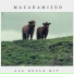 Macadamized