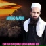 Ahmad Madni