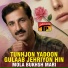 Mola Bukhsh Mari
