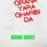 Muhib Barat