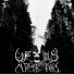 Ursus Arctus