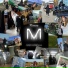 MOJO MOROLLY