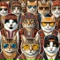 CATamorphosis