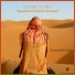 Ensamble East, Classical Hits