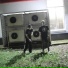 bushtagee feat. wageprinz