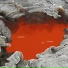 Acid Harbour